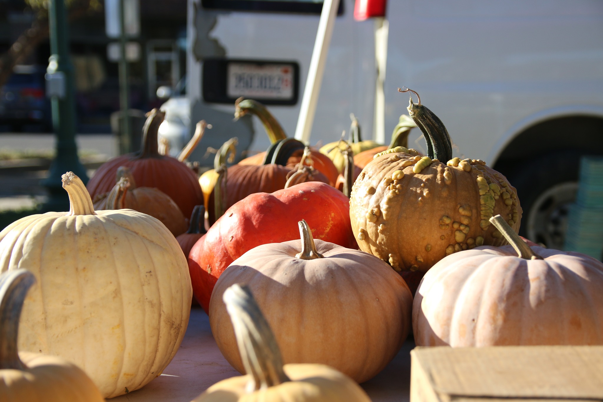 O'Fallon Harvest Festival